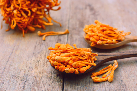 Micoterapia per rinforzare le Difese Immunitarie