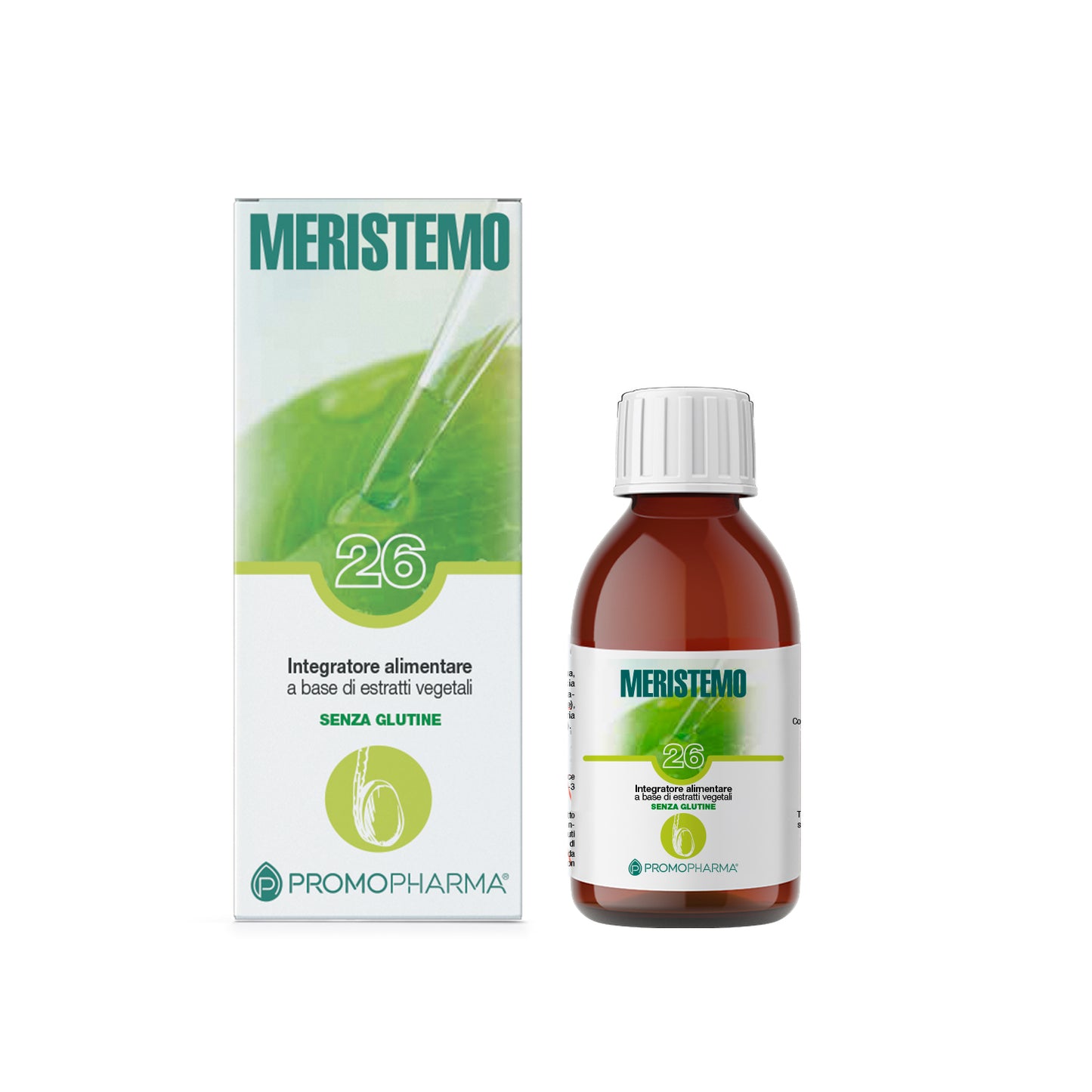 Meristemo 26 - Testicolare