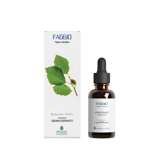 Faggio - Gemmoderivato