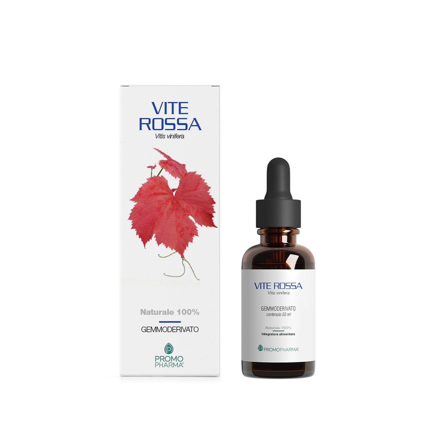 Vite Rossa - Gemmoderivato