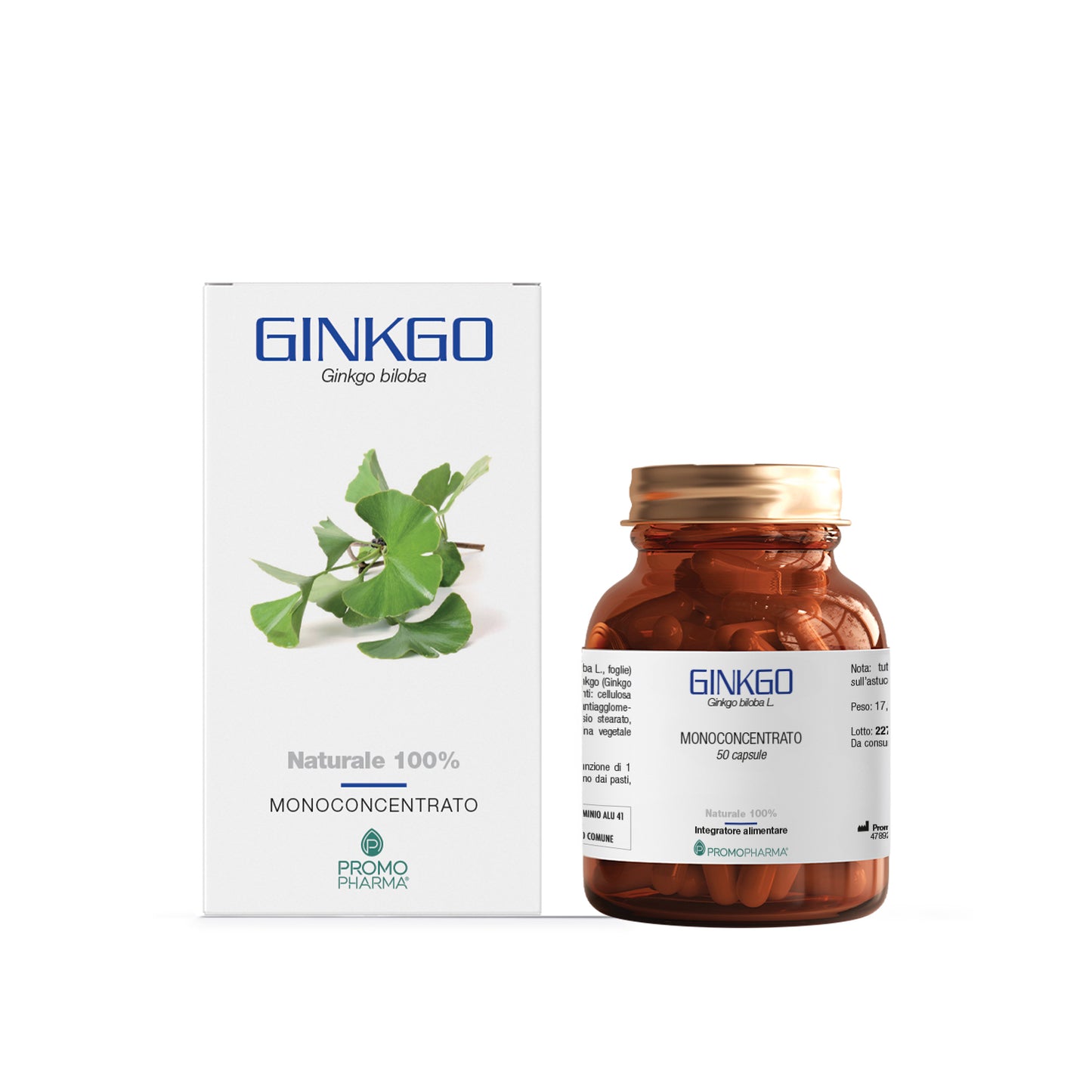 Ginkgo - Monoconcentrato