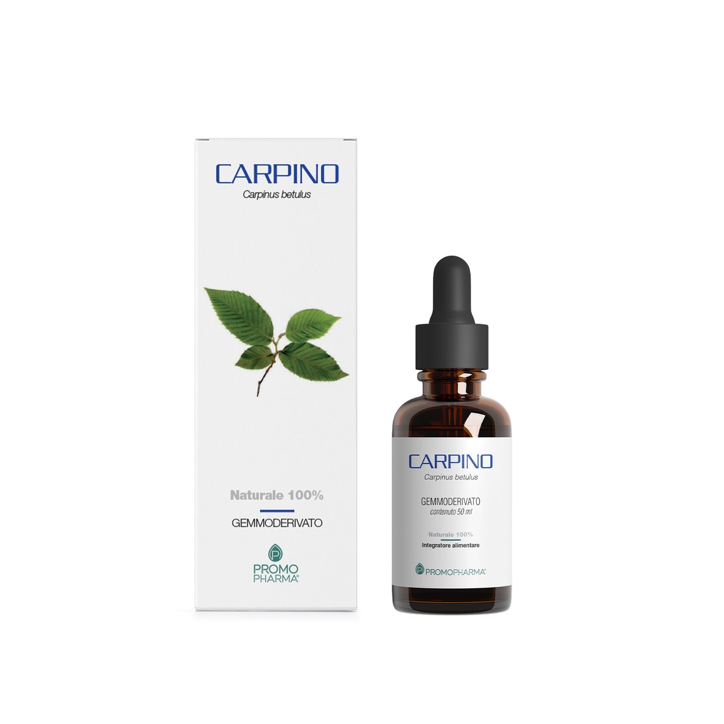 Carpino Macerato Glicerico - Gemmoderivato