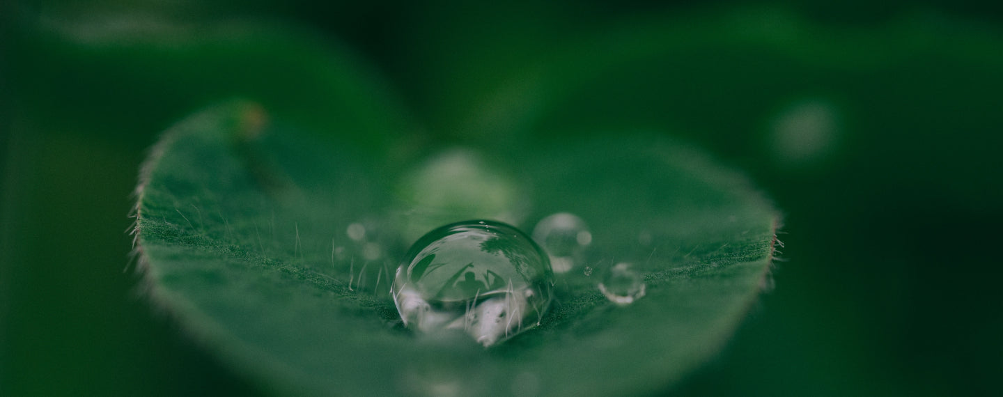 Carica il video: Salute 4.0