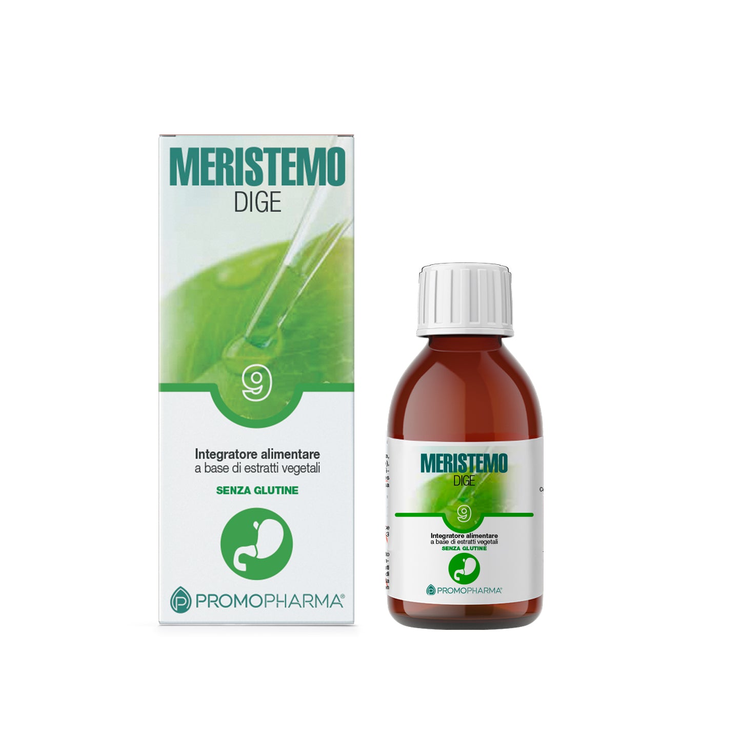 Meristemo 9 - Dige