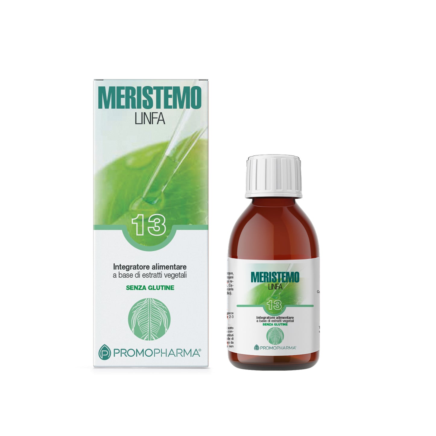 Meristemo 12 - Ipotalamo