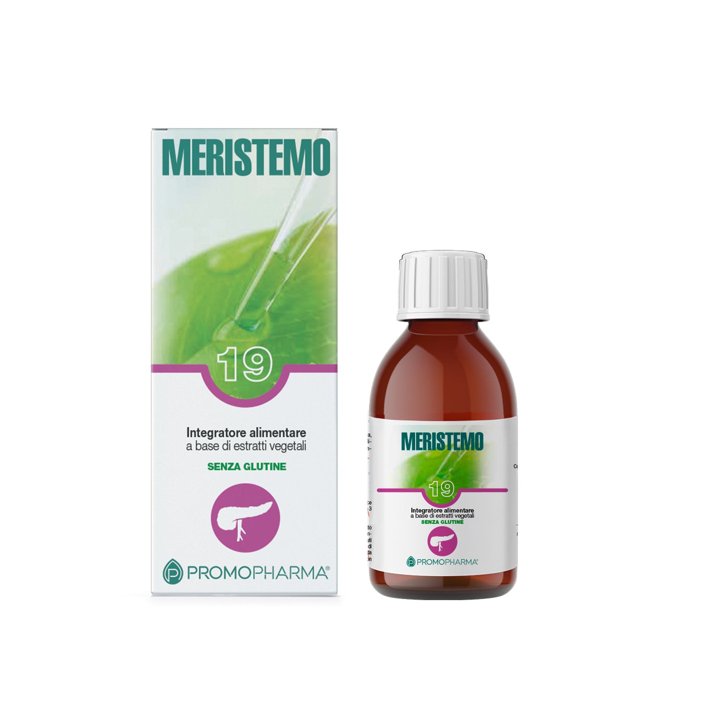 Meristemo 19 - Pancreas