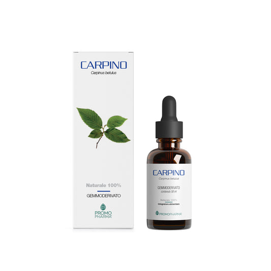 Carpino Macerato Glicerico - Gemmoderivato