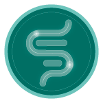 Gastrointestinal system