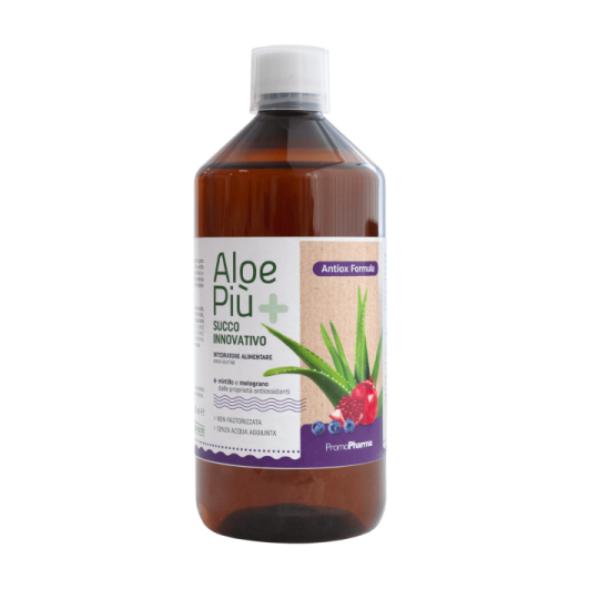 Aloe Vera fresh juice (arándano)